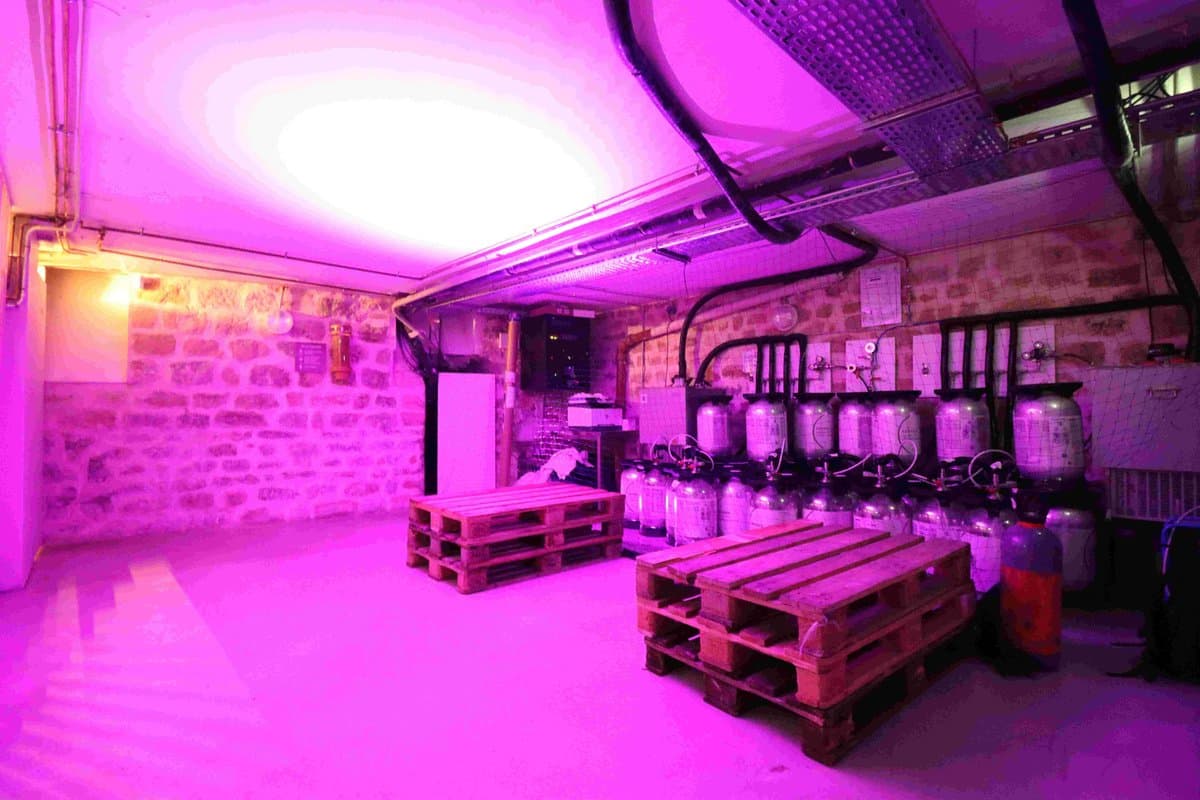 Bar Stamm 